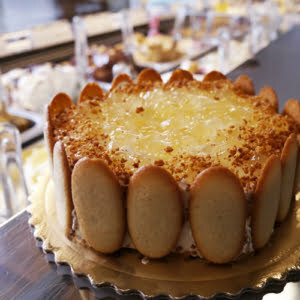 Torte gelato e semifreddo